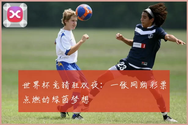 世界杯竞猜狂欢夜:一张网购彩票点燃的绿茵梦想