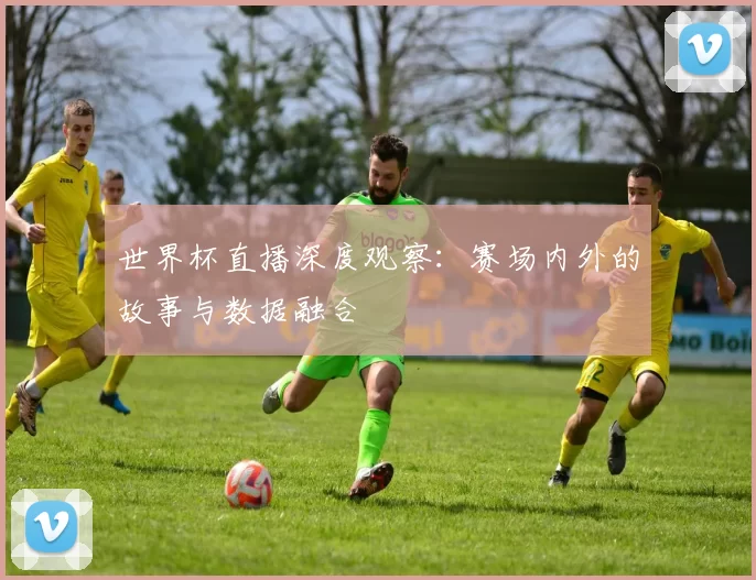 世界杯直播深度观察:赛场内外的故事与数据融合