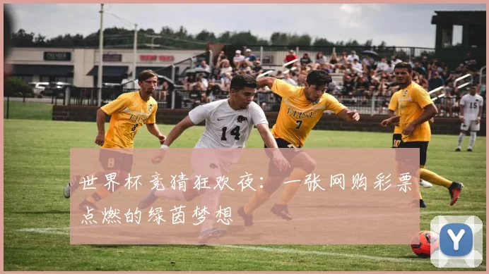 世界杯竞猜狂欢夜：一张网购彩票点燃的绿茵梦想