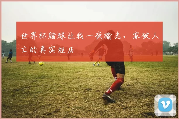 世界杯赌球让我一夜输光，家破人亡的真实经历