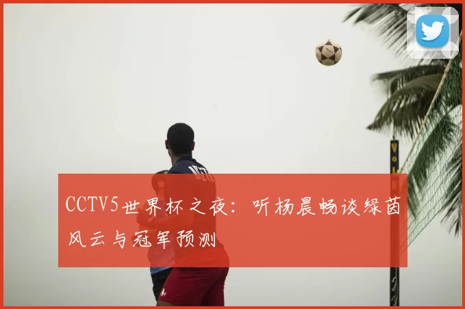 CCTV5世界杯之夜：听杨晨畅谈绿茵风云与冠军预测