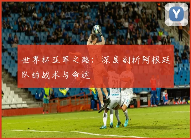 世界杯亚军之路:深度剖析阿根廷队的战术与命运