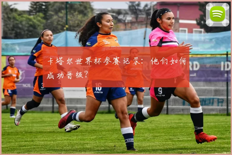 卡塔尔世界杯参赛记录:他们如何成功晋级?