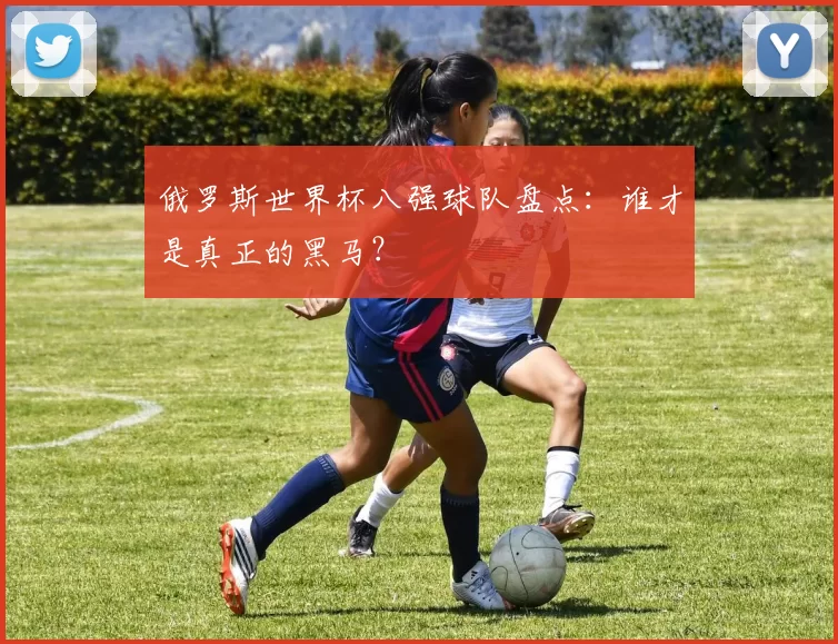 俄罗斯世界杯八强球队盘点：谁才是真正的黑马？