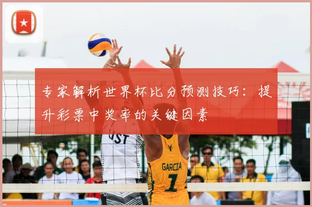 专家解析世界杯比分预测技巧：提升彩票中奖率的关键因素
