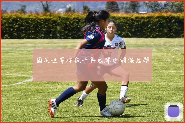 国足世界杯段子再成球迷调侃话题
