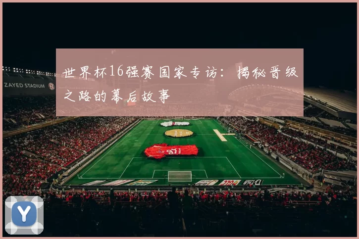 世界杯16强赛国家专访：揭秘晋级之路的幕后故事