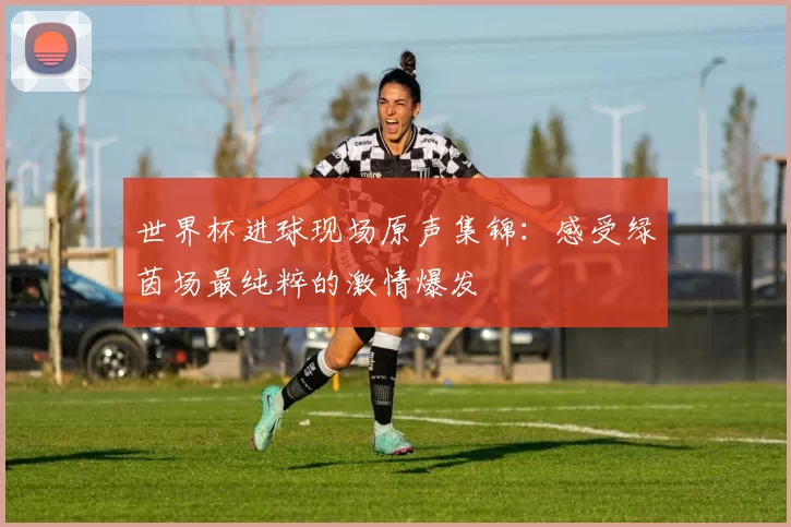 世界杯进球现场原声集锦：感受绿茵场最纯粹的激情爆发